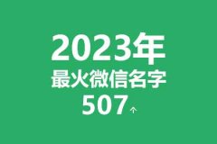 2023年最火微信名字(507个)