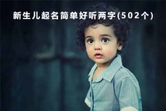 新生儿起名简单好听两字(502个)