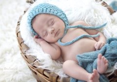 姓陈兔年宝宝应如何起名大气又有涵养