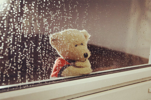 袁志博-名字的寓意