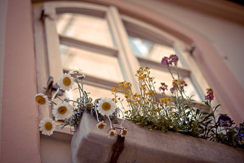 陈子煜-名字含义