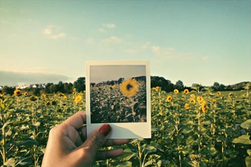 文字辈男孩名字大全免费取名