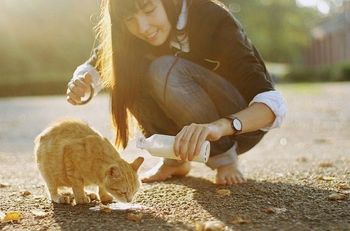 庞芷妍-姓名测试打分，庞芷妍免费测名字打多少分