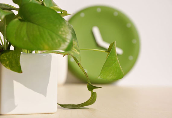 兔年浪漫空灵的男孩名字好听又有内涵有涵养