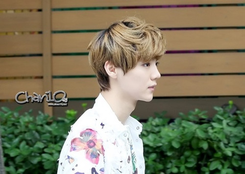 左慧文-名字免费打分