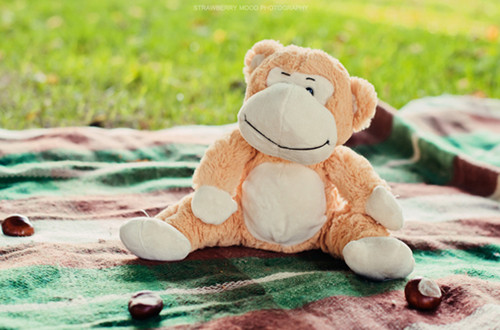 虎年男孩诗经取名，带山带水