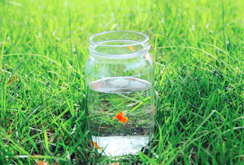 诃字辈特别有诗意的女孩名字 越叫越有福气的女孩名字 诃字辈特别有诗意的女孩名字 越叫越有福气的女孩名字