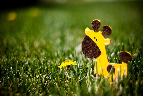 2022属虎男孩的名字