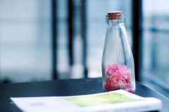 兔年宝宝取名,该如何运用诗经取名