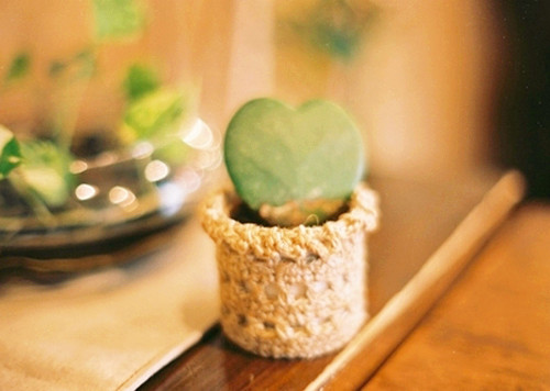 2022虎年出生的邹姓男生叫什么名字一听就很干净