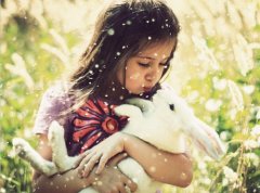 淑字取名女孩名字大全