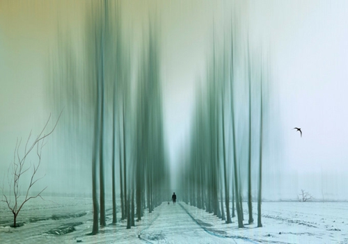 名字大全女宝 颍字取名女宝名字的意思