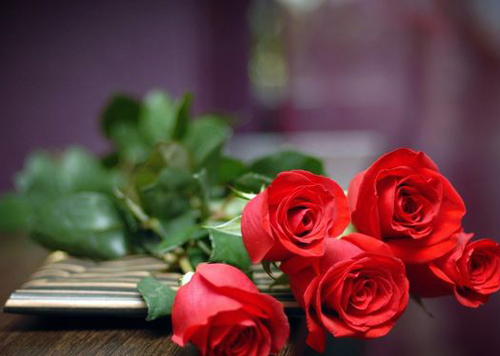 2023兔年女生，姓关叫什么名字温婉古风