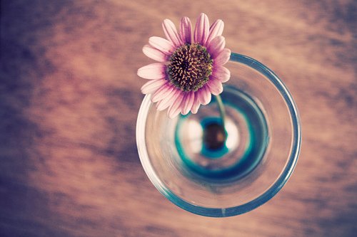 适合女生的日语名字