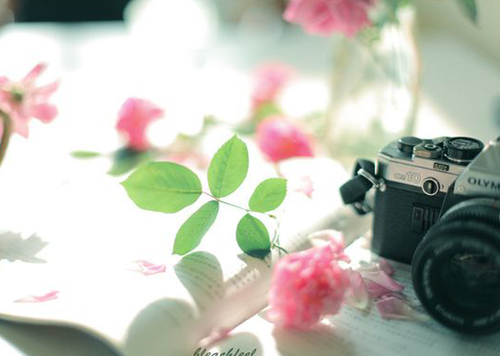 2023兔年出生的葛姓女生叫什么名字有涵义