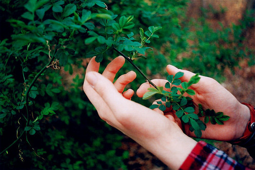 中间带欧字的女宝名字 表示女孩聪明睿智涵养的名字