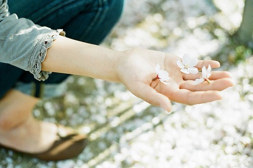 禹华杨-名字评分测试打分