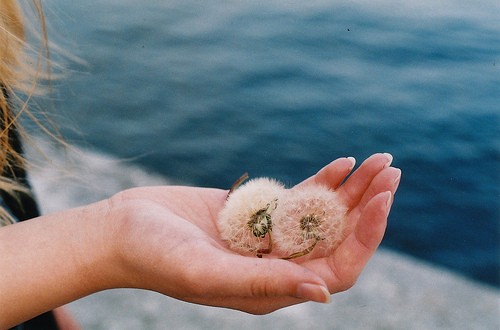 带君字的女孩名