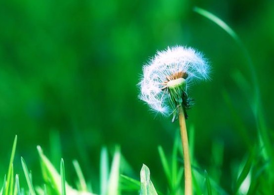 兰兴辰-姓名测试打分,兰兴辰免费测名字打多少分 兰兴辰-姓名测试打分,兰兴辰免费测名字打多少分